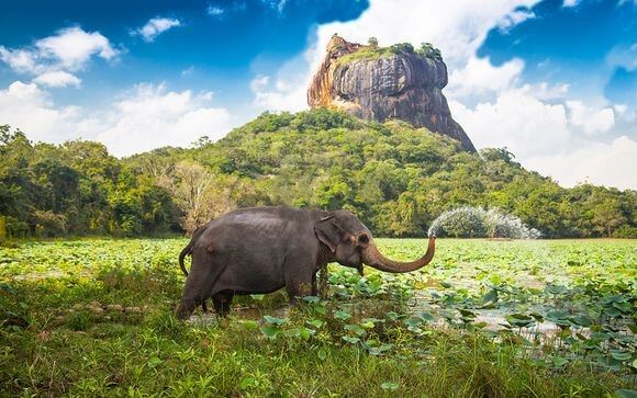 sri lanka